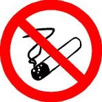 Rookverbod Er geldt een algemeen rookverbod voor iedereen op school. Hoofdluizen Het steeds terugkerende probleem van hoofdluizen is erg vervelend.