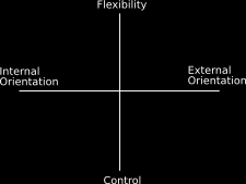 Bedrijfsorientatie QUINN (1994) bedrijfsoriëntatie model - gerichtheid FLEXIBILITEIT HUMAN