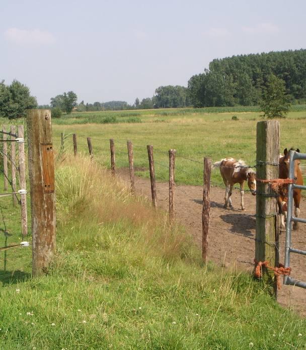 Terreinbezoek toetsen