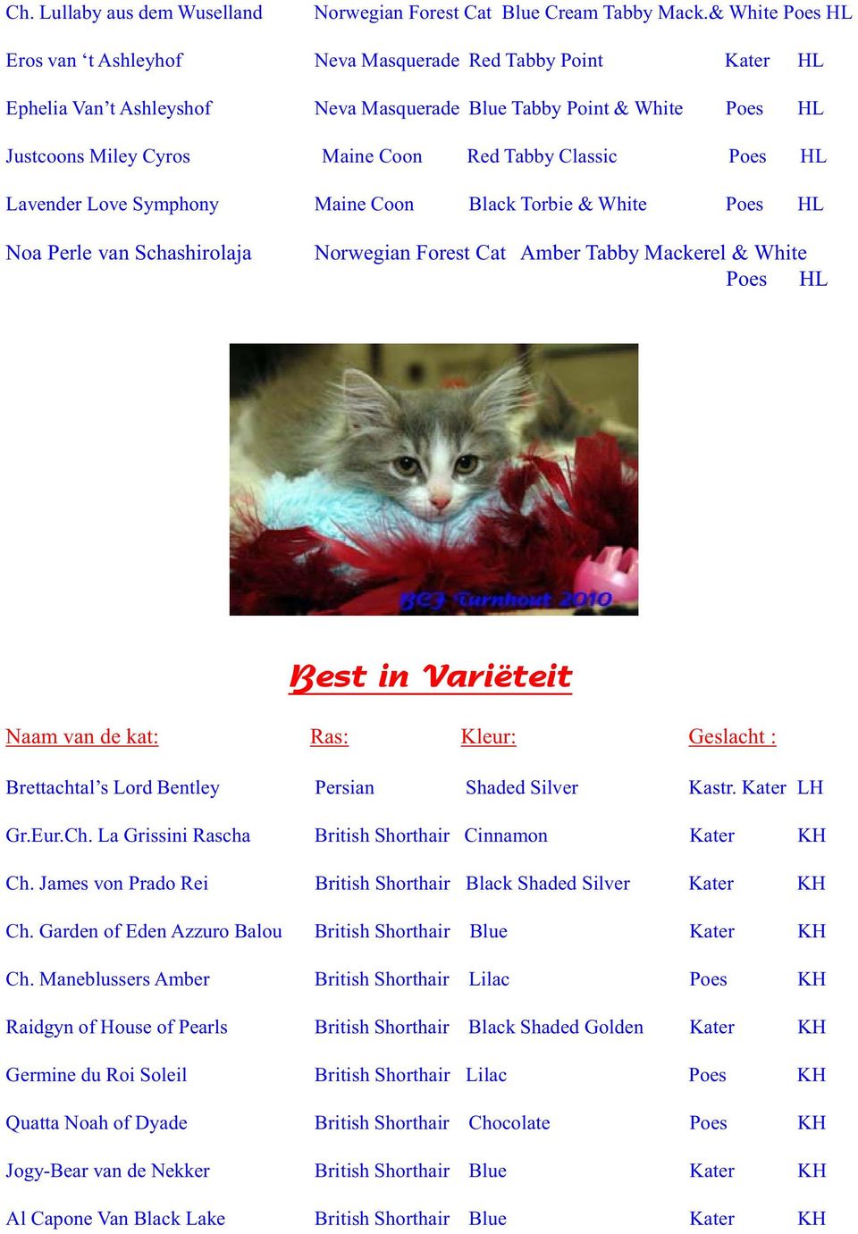 Classic Poes HL Lavender Love Symphony Maine Coon Black Torbie & White Poes HL Noa Perle van Schashirolaja Norwegian Forest Cat Amber Tabby Mackerel & White Poes HL Best in Variëteit Naam van de kat: