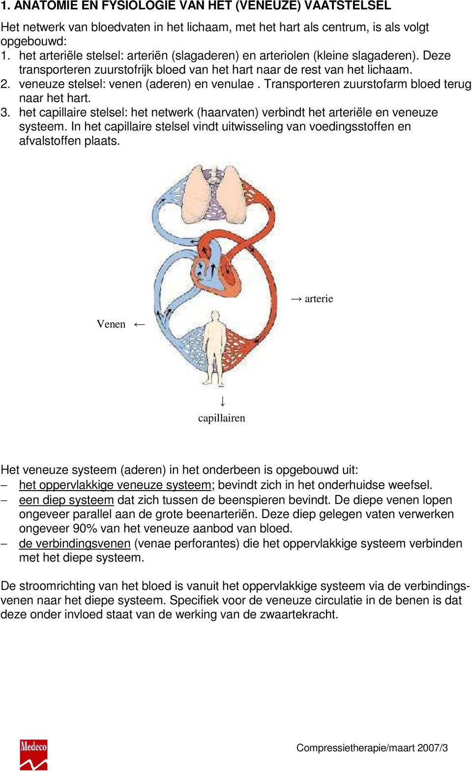 veneuze stelsel: venen (aderen) en venulae. Transporteren zuurstofarm bloed terug naar het hart. 3. het capillaire stelsel: het netwerk (haarvaten) verbindt het arteriële en veneuze systeem.