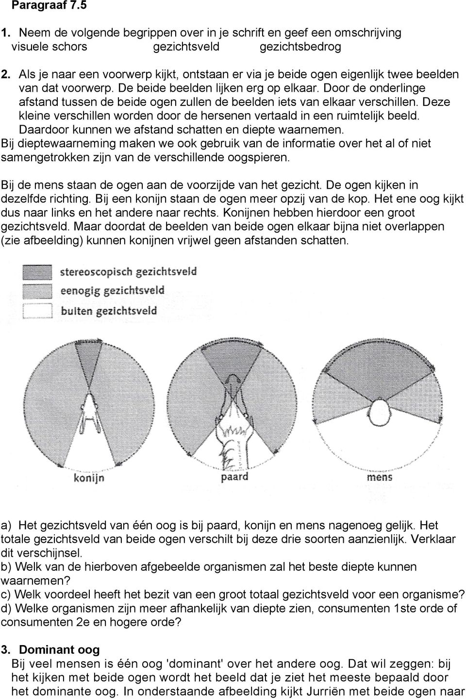 Door de onderlinge afstand tussen de beide ogen zullen de beelden iets van elkaar verschillen. Deze kleine verschillen worden door de hersenen vertaald in een ruimtelijk beeld.