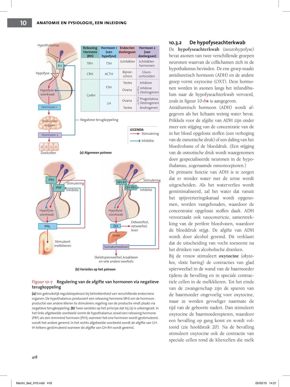 op het patroon Endocrien doelorgaan Schildklier Testes Ovaria Ovaria Testes Hormoon 2 (van doelorgaan) Hypofysevoorkwab Hypofysevoorkwab Hypofysevoorkwab Schildklierhormonen Bijnierschors