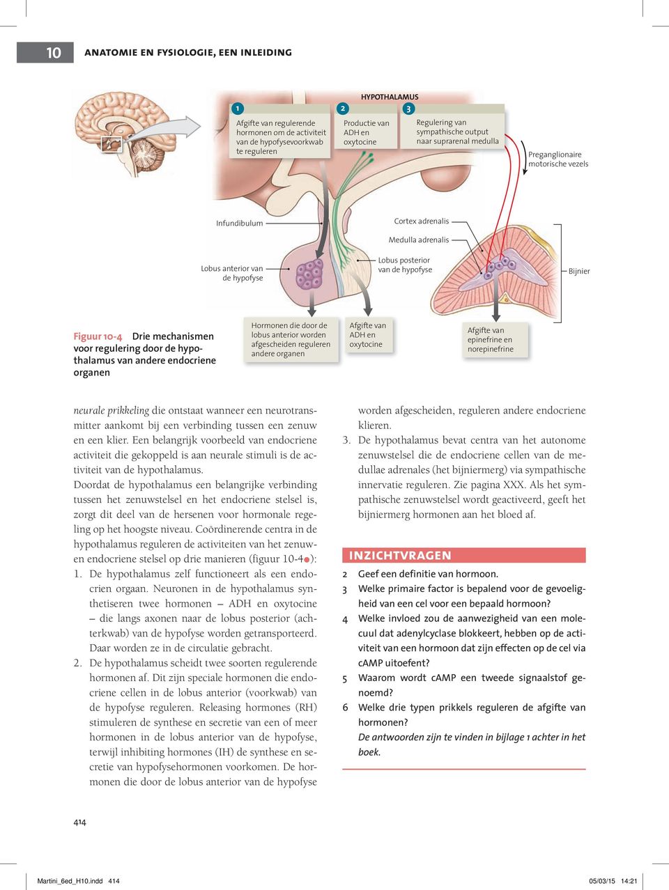 Figuur 10-4 Drie mechanismen voor regulering door de hypothalamus van andere endocriene organen Hormonen die door de lobus anterior worden afgescheiden reguleren andere organen Afgifte van ADH en