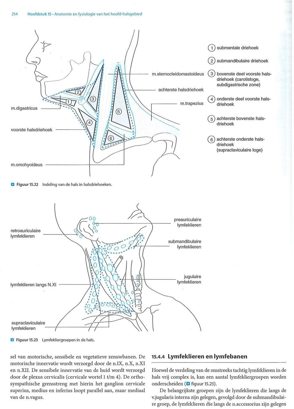 Figuur 15.23 in de hals. van motorische, sensibele en vegetatieve zenuwbanen. De motorische innervatie wordt verzorgd door de n.ix, n.x, n.xi en n.xii.
