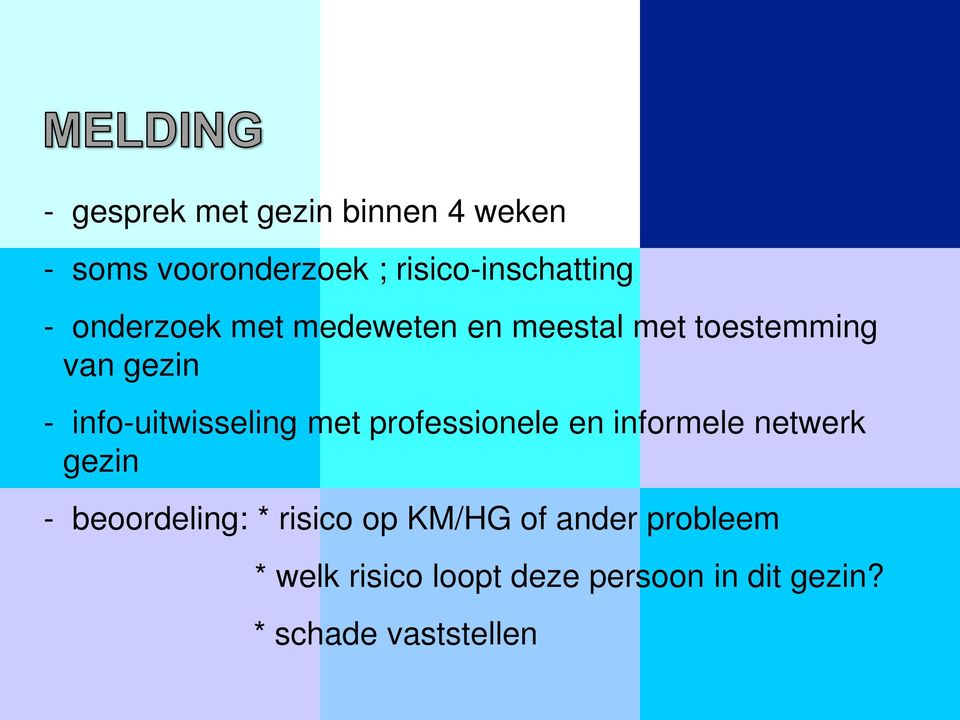 met professionele en informele netwerk gezin - beoordeling: * risico op KM/HG of