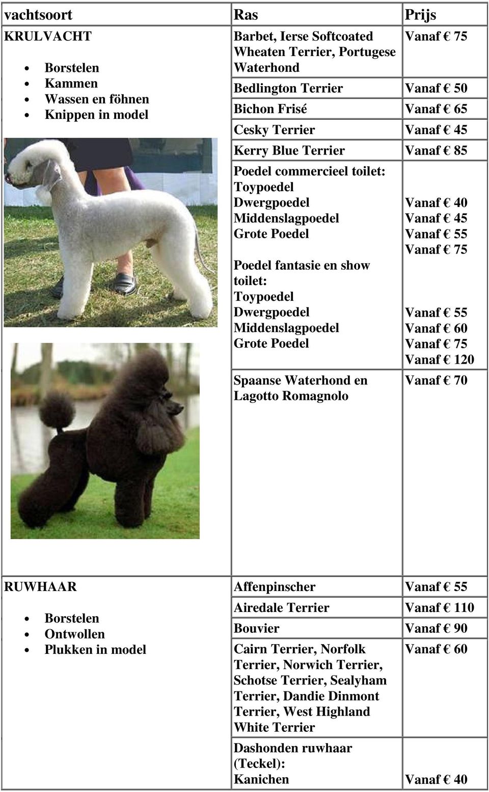 Middenslagpoedel Grote Poedel Spaanse Waterhond en Lagotto Romagnolo Vanaf 120 Vanaf 70 RUWHAAR Ontwollen Plukken in model Affenpinscher Airedale Terrier Vanaf 110 Bouvier