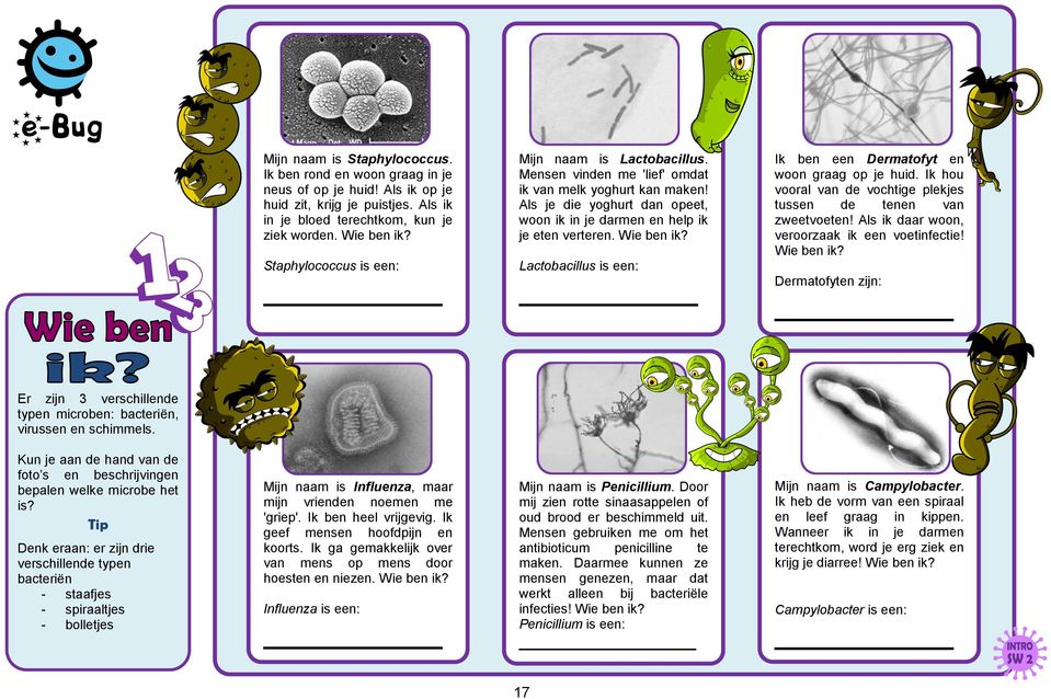 Wie ben ik? Lactobacillus is een: Ik ben een Dermatofyt en woon graag op je huid. Ik hou vooral van de vochtige plekjes tussen de tenen van zweetvoeten!