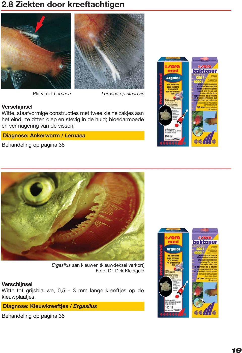 Diagnose: Ankerworm / Lernaea Behandeling op pagina 36 Witte tot grijsblauwe, 0,5 3 mm lange kreeftjes op de