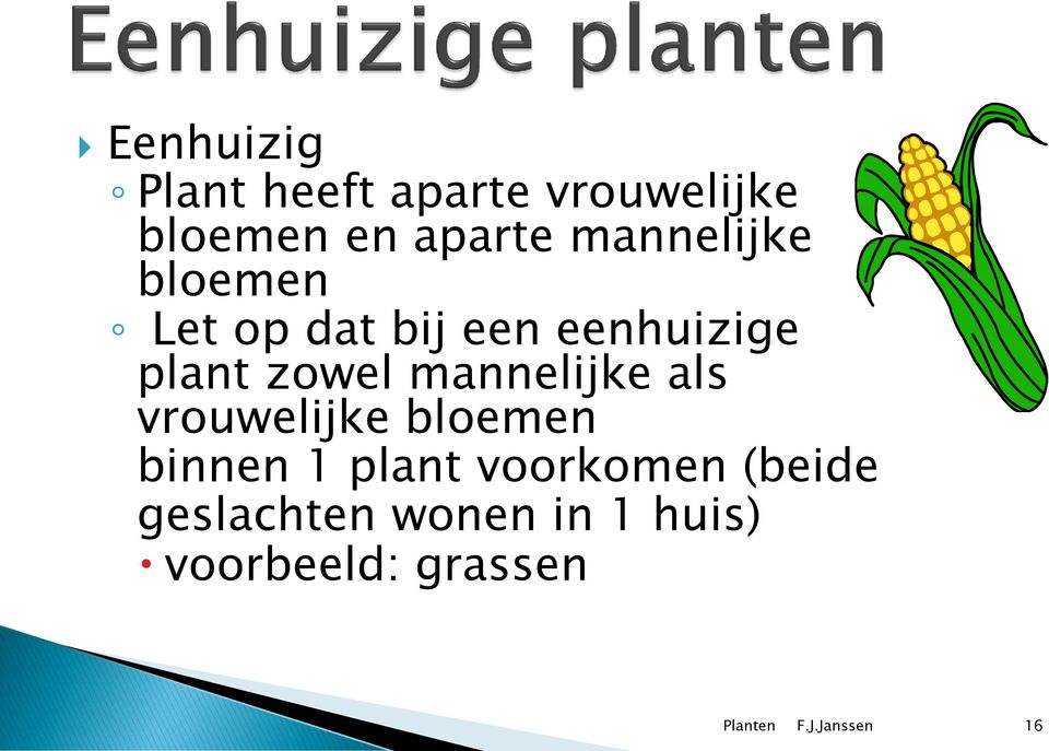 mannelijke als vrouwelijke bloemen binnen 1 plant voorkomen