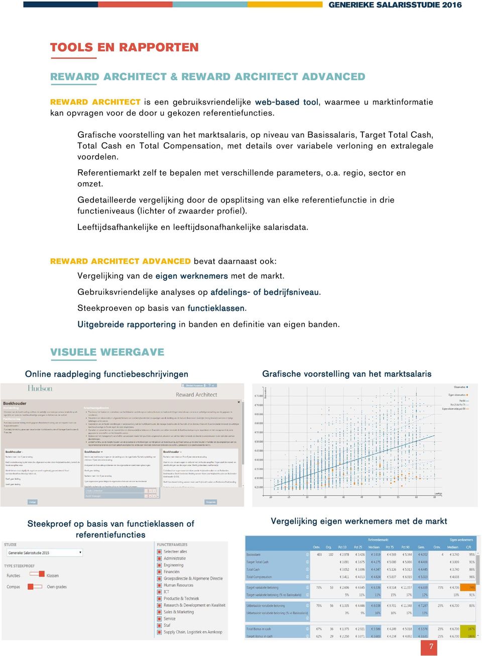 Grafische voorstelling van het marktsalaris, op niveau van Basissalaris, Target Total Cash, Total Cash en Total Compensation, met details over variabele verloning en extralegale voordelen.