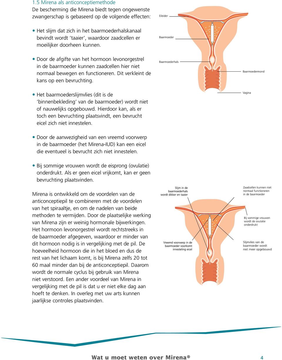 Dit verkleint de kans op een bevruchting. Baarmoederhals Baarmoedermond Het baarmoederslijmvlies (dit is de binnenbekleding van de baarmoeder) wordt niet of nauwelijks opgebouwd.