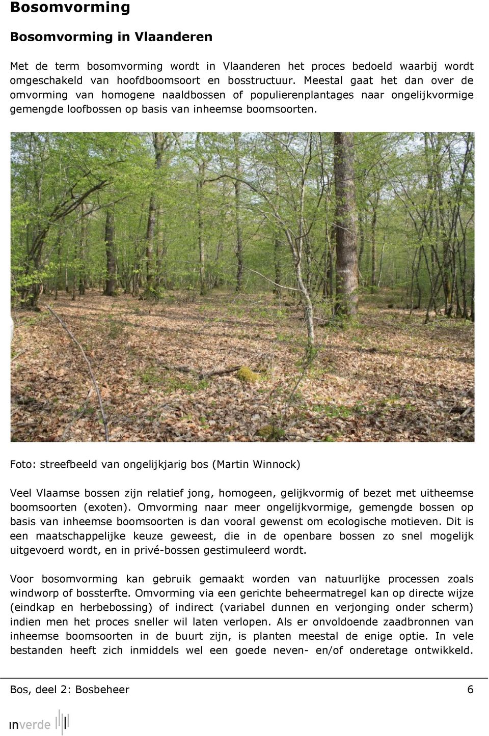 Foto: streefbeeld van ongelijkjarig bos (Martin Winnock) Veel Vlaamse bossen zijn relatief jong, homogeen, gelijkvormig of bezet met uitheemse boomsoorten (exoten).