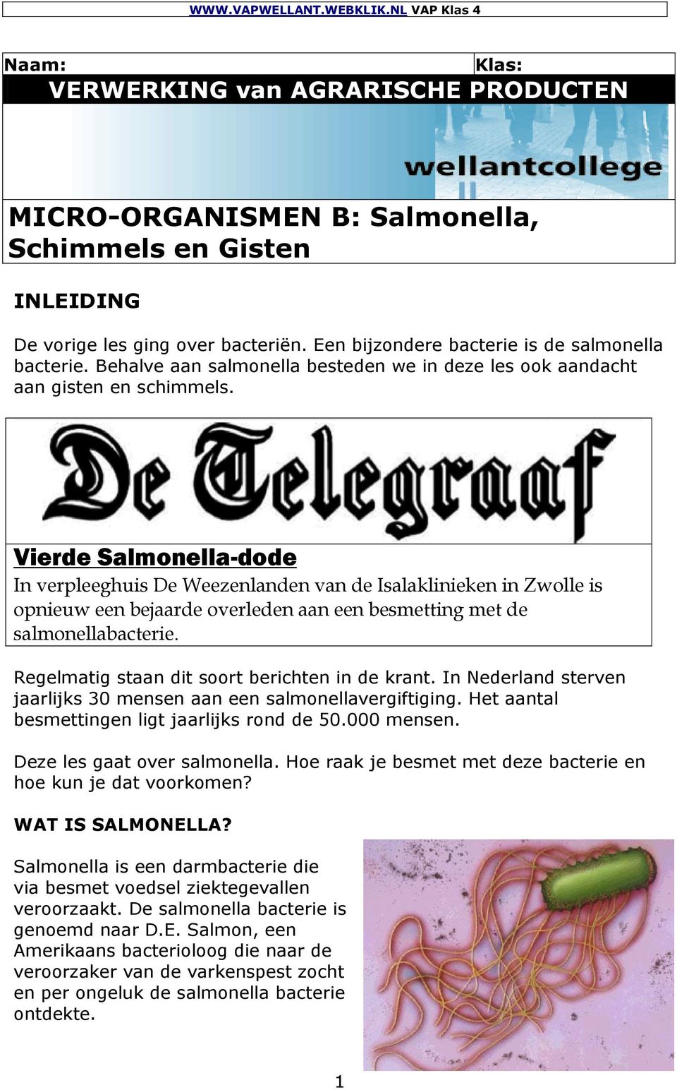 Vierde Salmonella-dode In verpleeghuis De Weezenlanden van de Isalaklinieken in Zwolle is opnieuw een bejaarde overleden aan een besmetting met de salmonellabacterie.