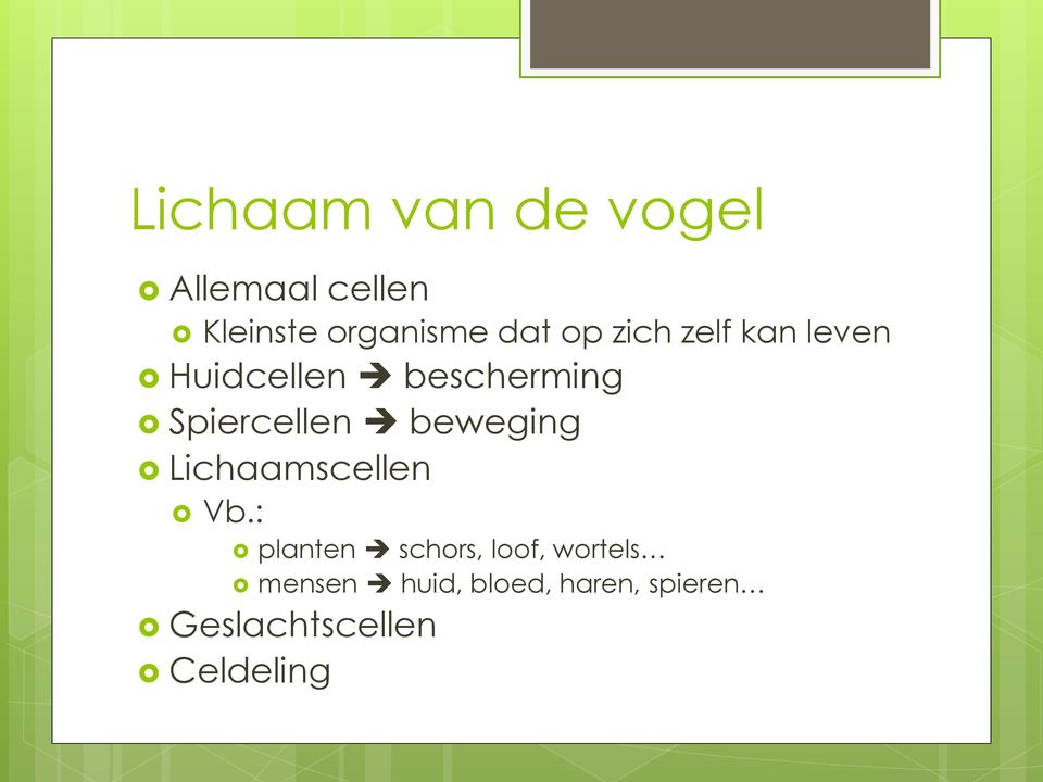 beweging Lichaamscellen Vb.