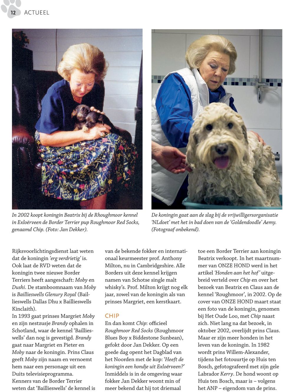 Rijksvoorlichtingsdienst laat weten dat de koningin erg verdrietig is. Ook laat de RVD weten dat de koningin twee nieuwe Border Terriers heeft aangeschaft: Moby en Dushi.