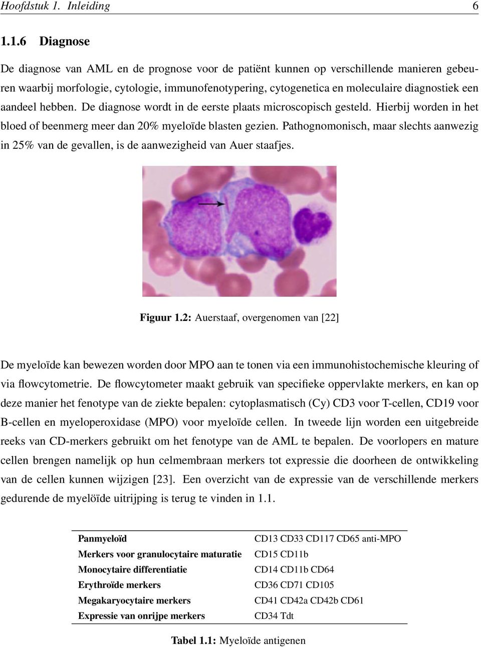 1.6 Diagnose De diagnose van AML en de prognose voor de patiënt kunnen op verschillende manieren gebeuren waarbij morfologie, cytologie, immunofenotypering, cytogenetica en moleculaire diagnostiek