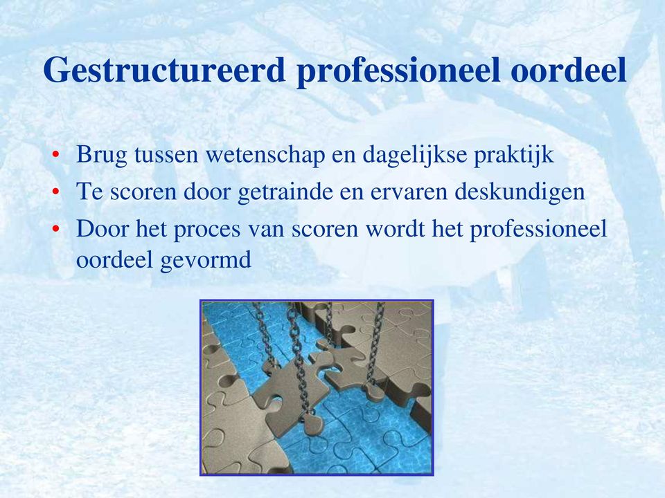 getrainde en ervaren deskundigen Door het proces