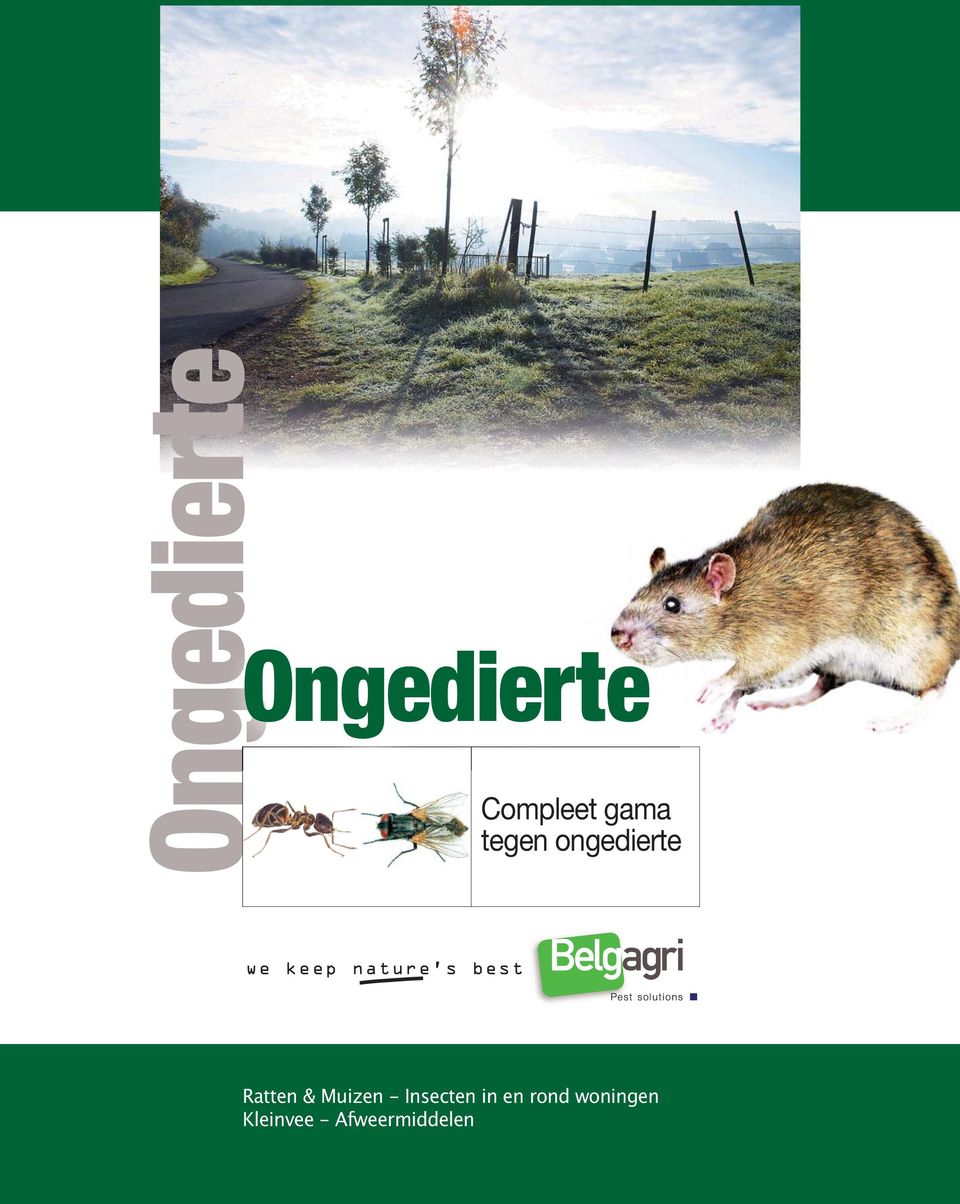 best Ratten & Muizen - Insecten in