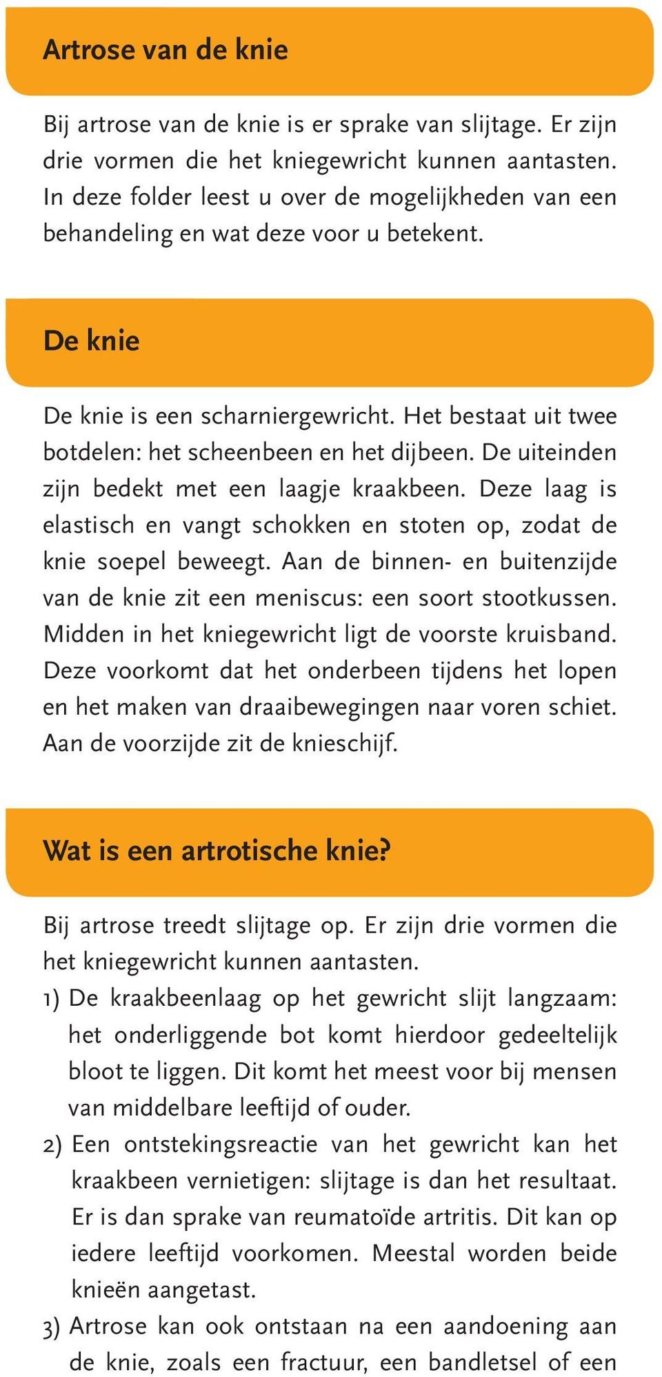 De uiteinden zijn bedekt met een laagje kraakbeen. Deze laag is elastisch en vangt schokken en stoten op, zodat de knie soepel beweegt.