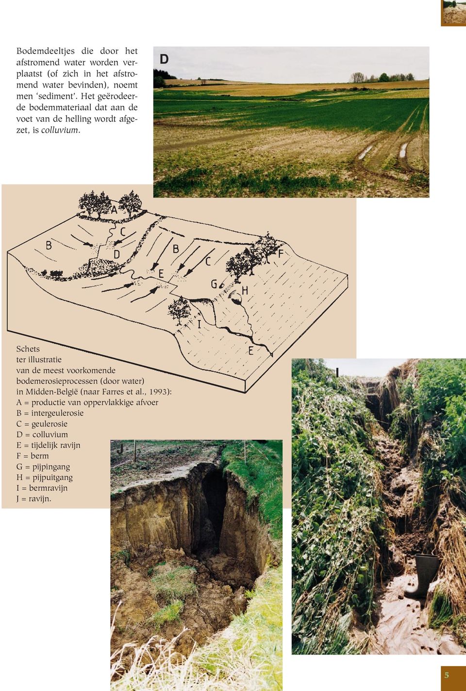 D Schets ter illustratie van de meest voorkomende bodemerosieprocessen (door water) in Midden-België (naar Farres et al.