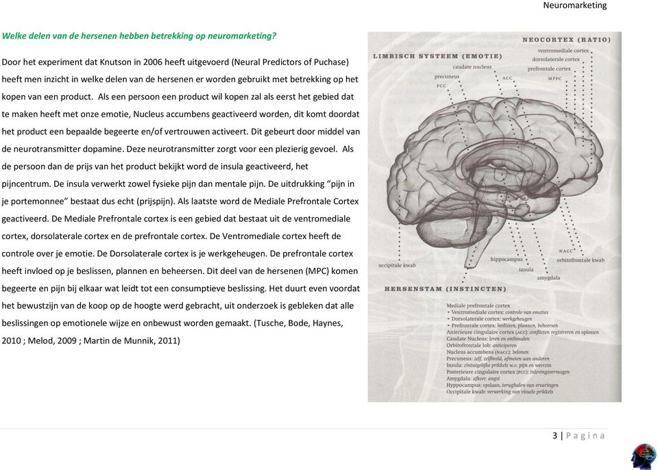 Als een persoon een product wil kopen zal als eerst het gebied dat te maken heeft met onze emotie, Nucleus accumbens geactiveerd worden, dit komt doordat het product een bepaalde begeerte en/of