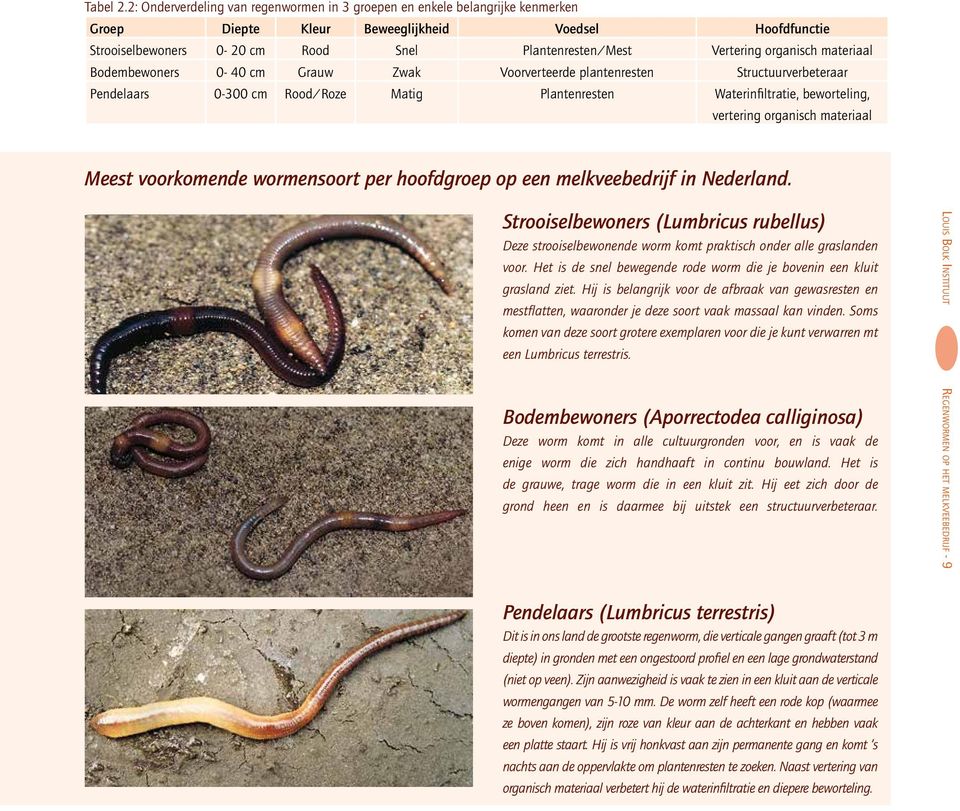 organisch materiaal Bodembewoners 0-40 cm Grauw Zwak Voorverteerde plantenresten Structuurverbeteraar Pendelaars 0-300 cm Rood/Roze Matig Plantenresten Waterinfiltratie, beworteling, vertering