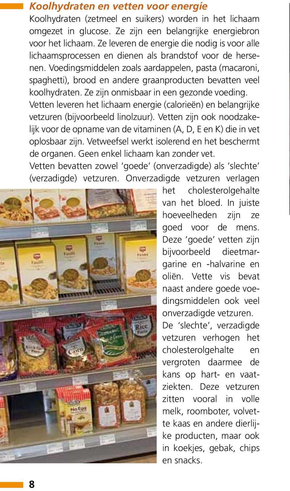 Voedingsmiddelen zoals aardappelen, pasta (macaroni, spaghetti), brood en andere graanproducten bevatten veel koolhydraten. Ze zijn onmisbaar in een gezonde voeding.