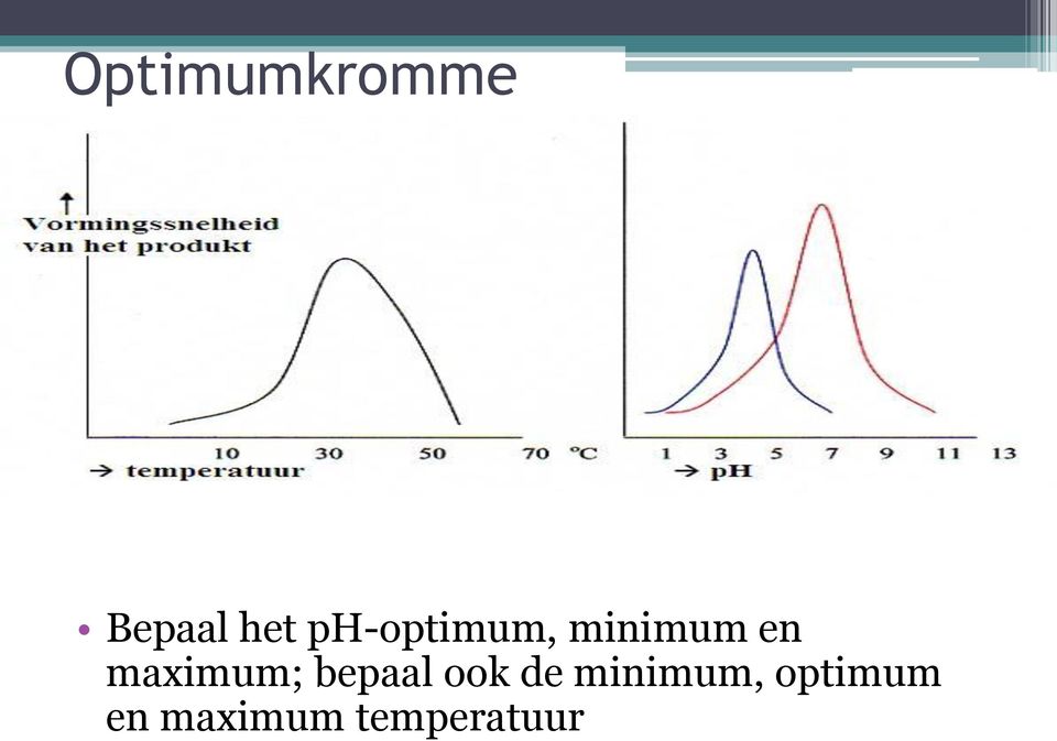 maximum; bepaal ook de