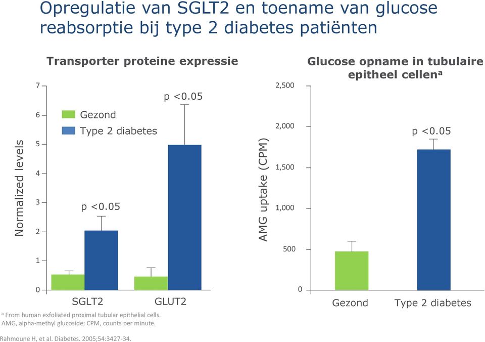 05 2,500 Glucose opname in tubulaire epitheel cellen a 6 5 Gezond Type 2 diabetes 2,000 p <0.05 4 1,500 3 p <0.