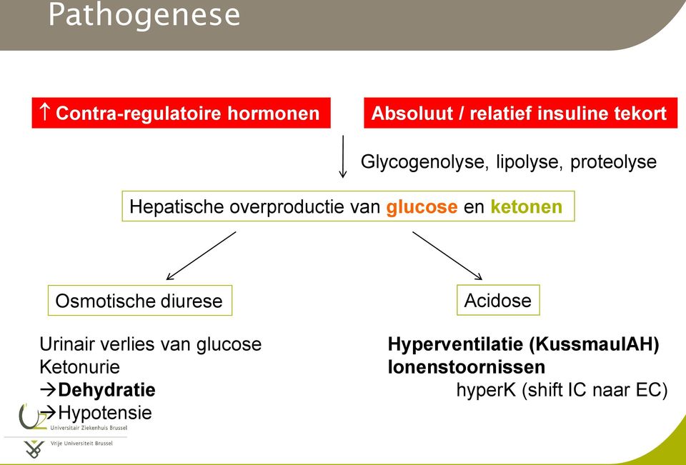 ketonen Osmotische diurese Urinair verlies van glucose Ketonurie Dehydratie