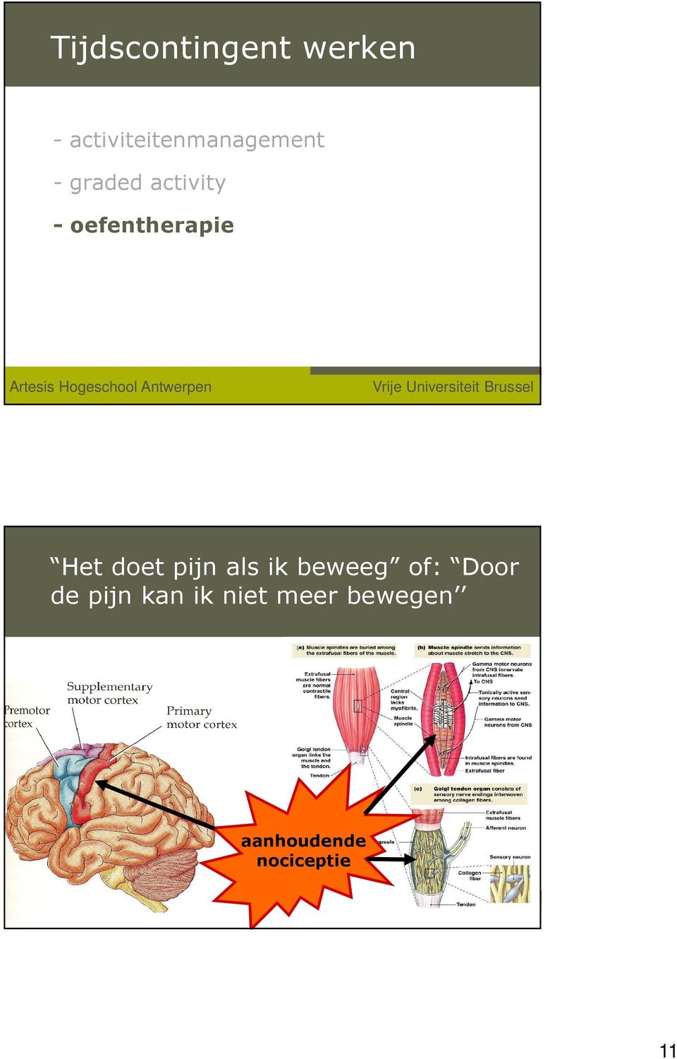 21 Antwerpen Het doet pijn als ik beweeg of: Door de pijn kan ik niet meer