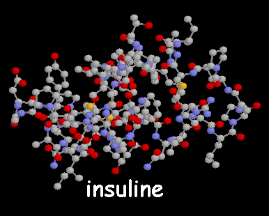Kleine eiwitmoleculen zoals insuline bestaan uit 50-100 aan elkaar gekoppelde aminozuren.