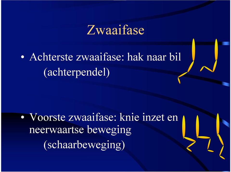 Voorste zwaaifase: knie inzet en