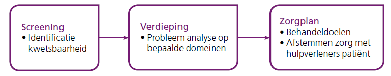 Het instrument levert een van de volgende conclusies op: Niet kwetsbaar Kwetsbaar zonder complexe zorgsituatie Kwetsbaar met complexe zorgsituatie De POH en/of (wijk)verpleegkundige en de huisarts