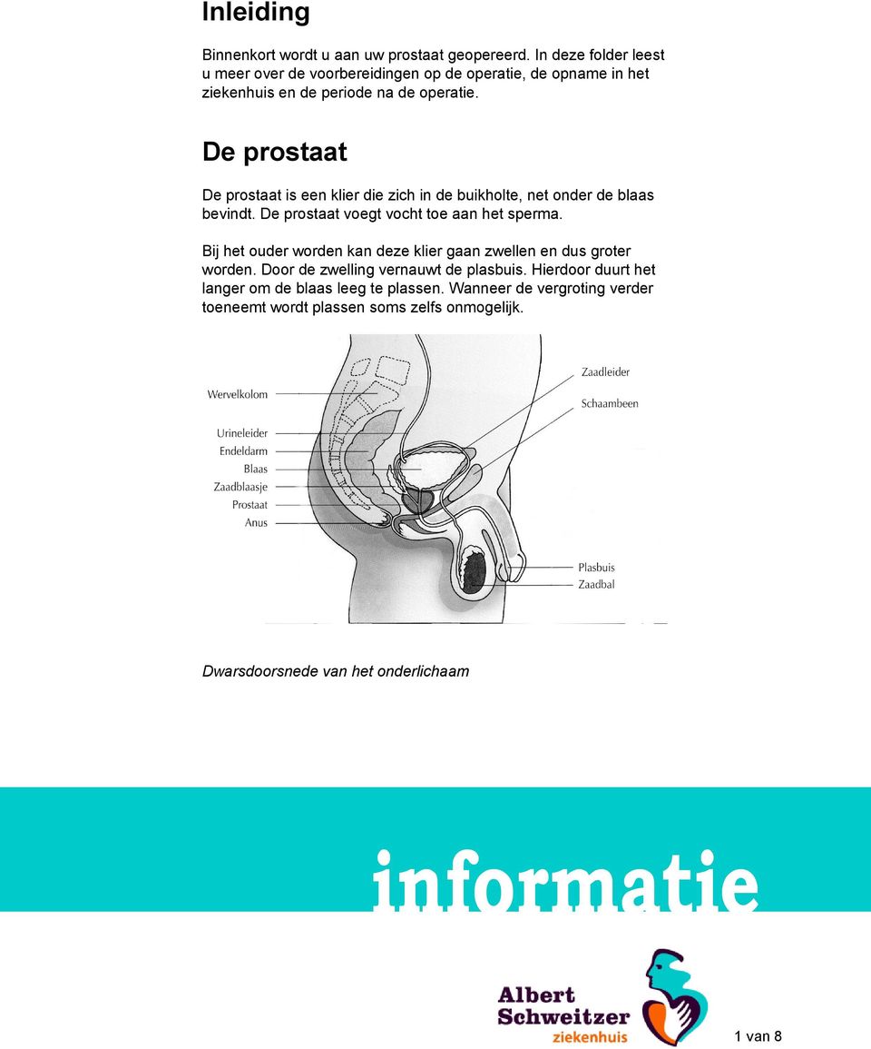 De prostaat De prostaat is een klier die zich in de buikholte, net onder de blaas bevindt. De prostaat voegt vocht toe aan het sperma.