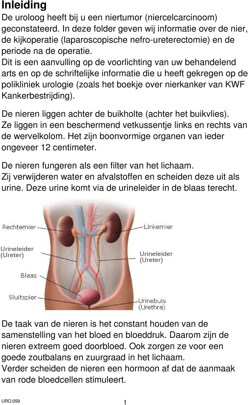 Dit is een aanvulling op de voorlichting van uw behandelend arts en op de schriftelijke informatie die u heeft gekregen op de polikliniek urologie (zoals het boekje over nierkanker van KWF