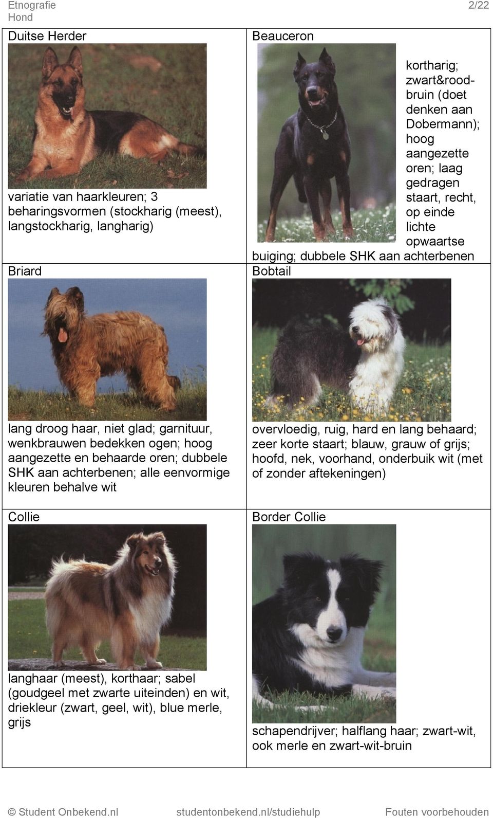 en behaarde oren; dubbele SHK aan achterbenen; alle eenvormige kleuren behalve wit Collie overvloedig, ruig, hard en lang behaard; zeer korte staart; blauw, grauw of grijs; hoofd, nek, voorhand,