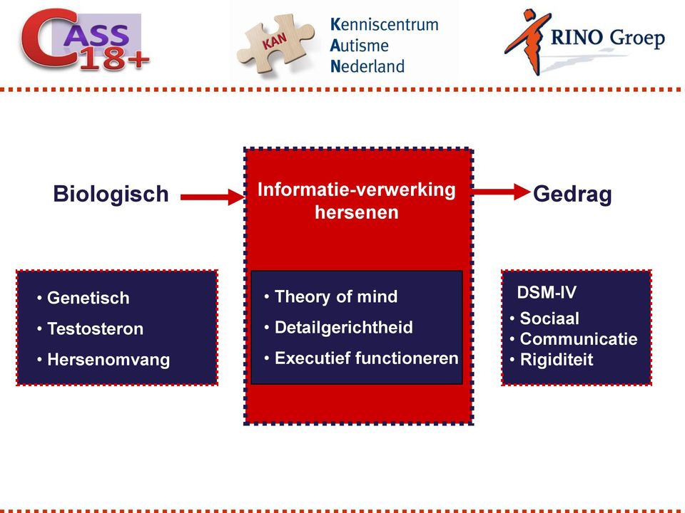 Hersenomvang Theory of mind Detailgerichtheid