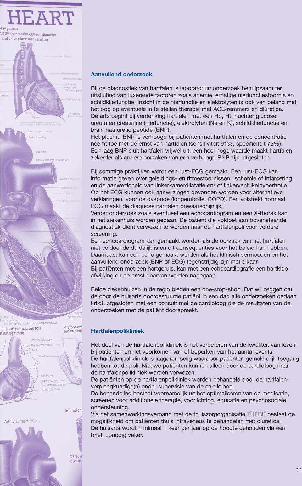 De arts begint bij verdenking hartfalen met een Hb, Ht, nuchter glucose, ureum en creatinine (nierfunctie), elektrolyten (Na en K), schildklierfunctie en brain natriuretic peptide (BNP).