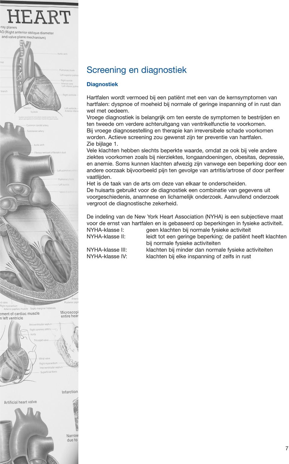 Bij vroege diagnosestelling en therapie kan irreversibele schade voorkomen worden. Actieve screening zou gewenst zijn ter preventie van hartfalen. Zie bijlage 1.