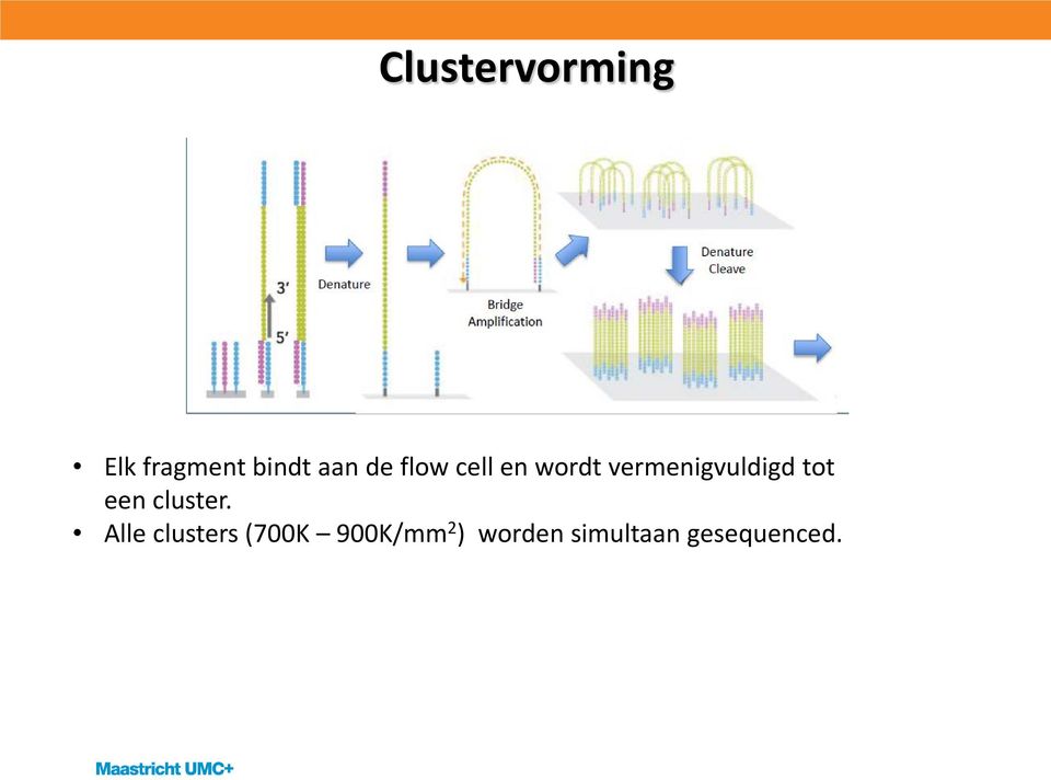 tot een cluster.