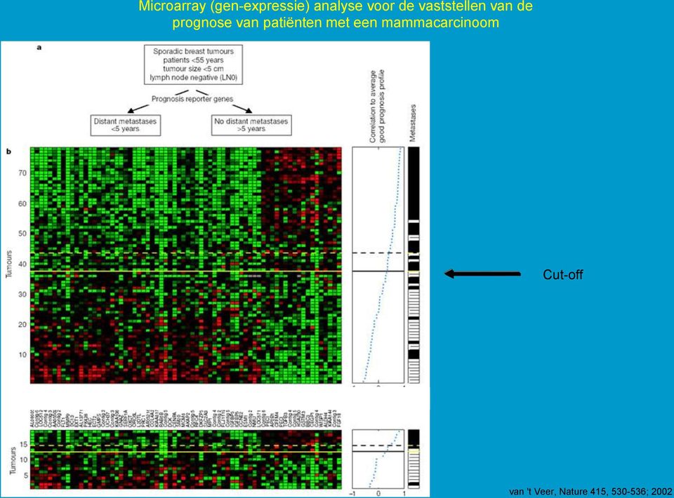 van patiënten met een mammacarcinoom
