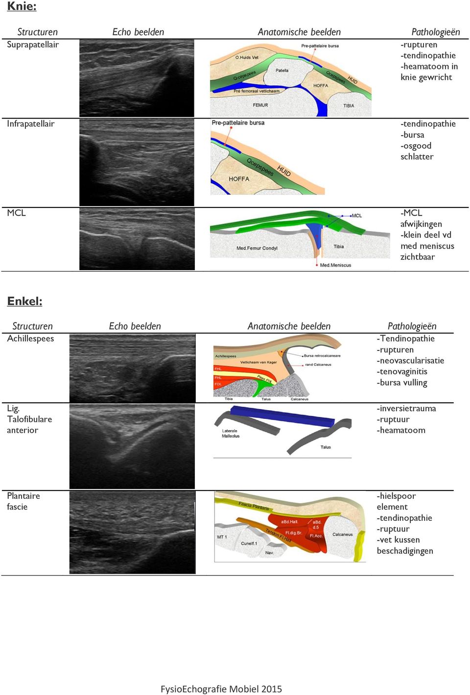 beelden Anatomische beelden Pathologieën Achillespees -Tendinopathie -rupturen -neovascularisatie -tenovaginitis -bursa