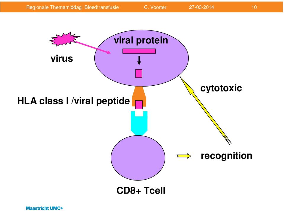 /viral peptide
