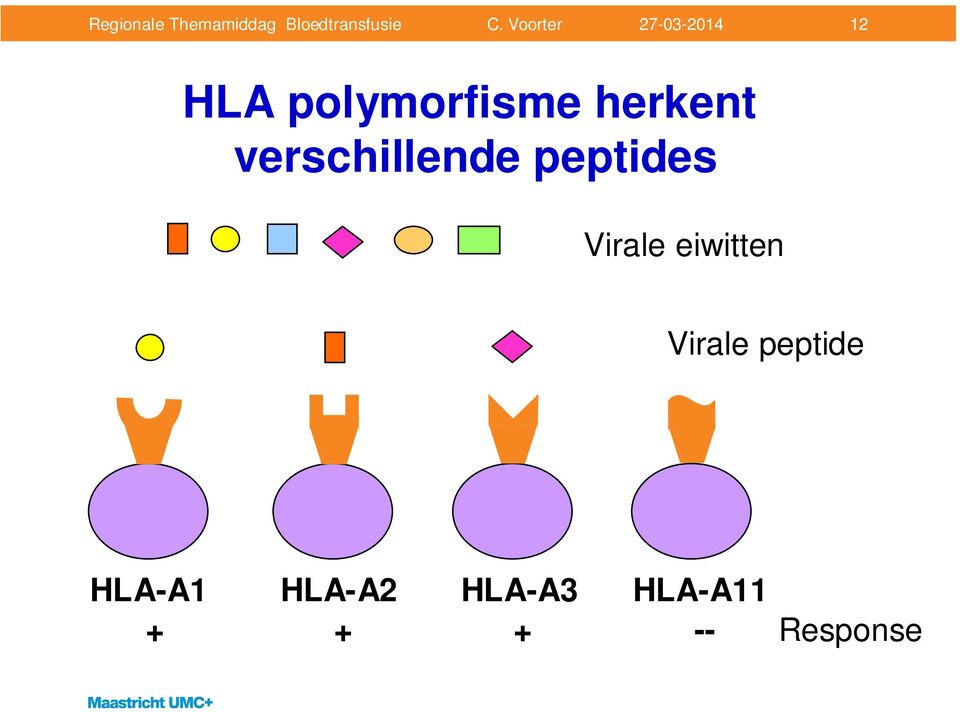 eiwitten Virale peptide HLA-A1