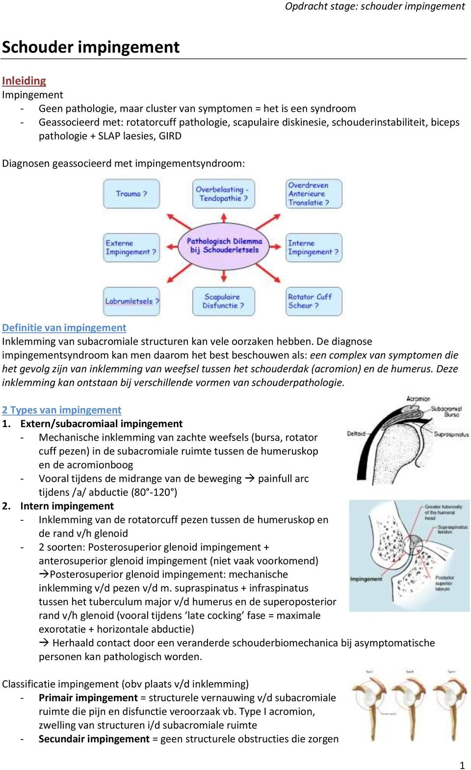 De diagnose impingementsyndroom kan men daarom het best beschouwen als: een complex van symptomen die het gevolg zijn van inklemming van weefsel tussen het schouderdak (acromion) en de humerus.