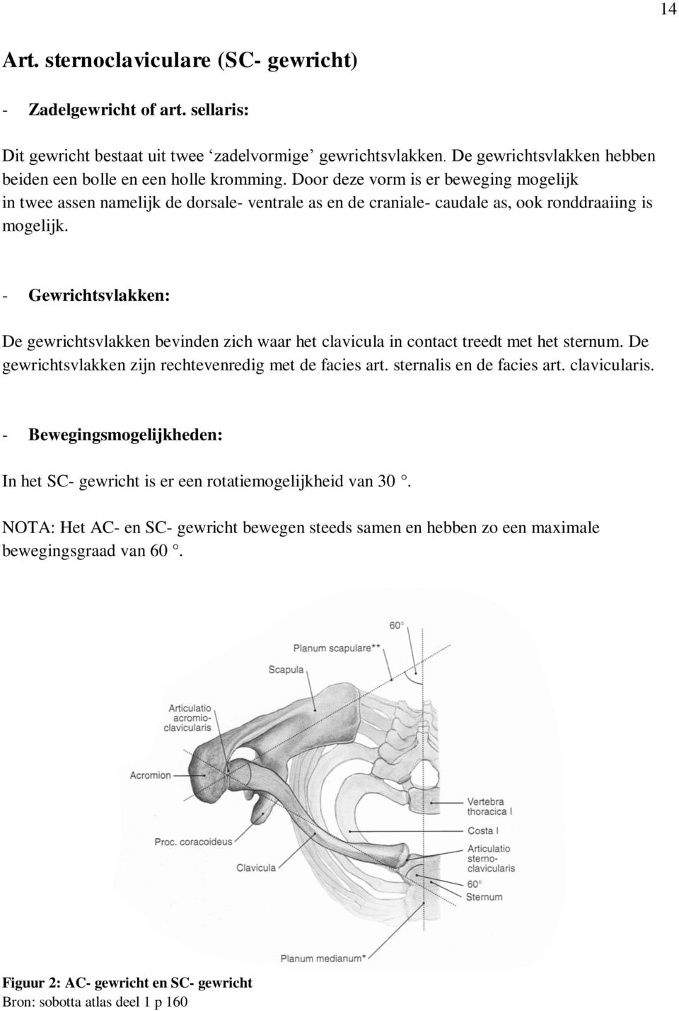 Door deze vorm is er beweging mogelijk in twee assen namelijk de dorsale- ventrale as en de craniale- caudale as, ook ronddraaiing is mogelijk.