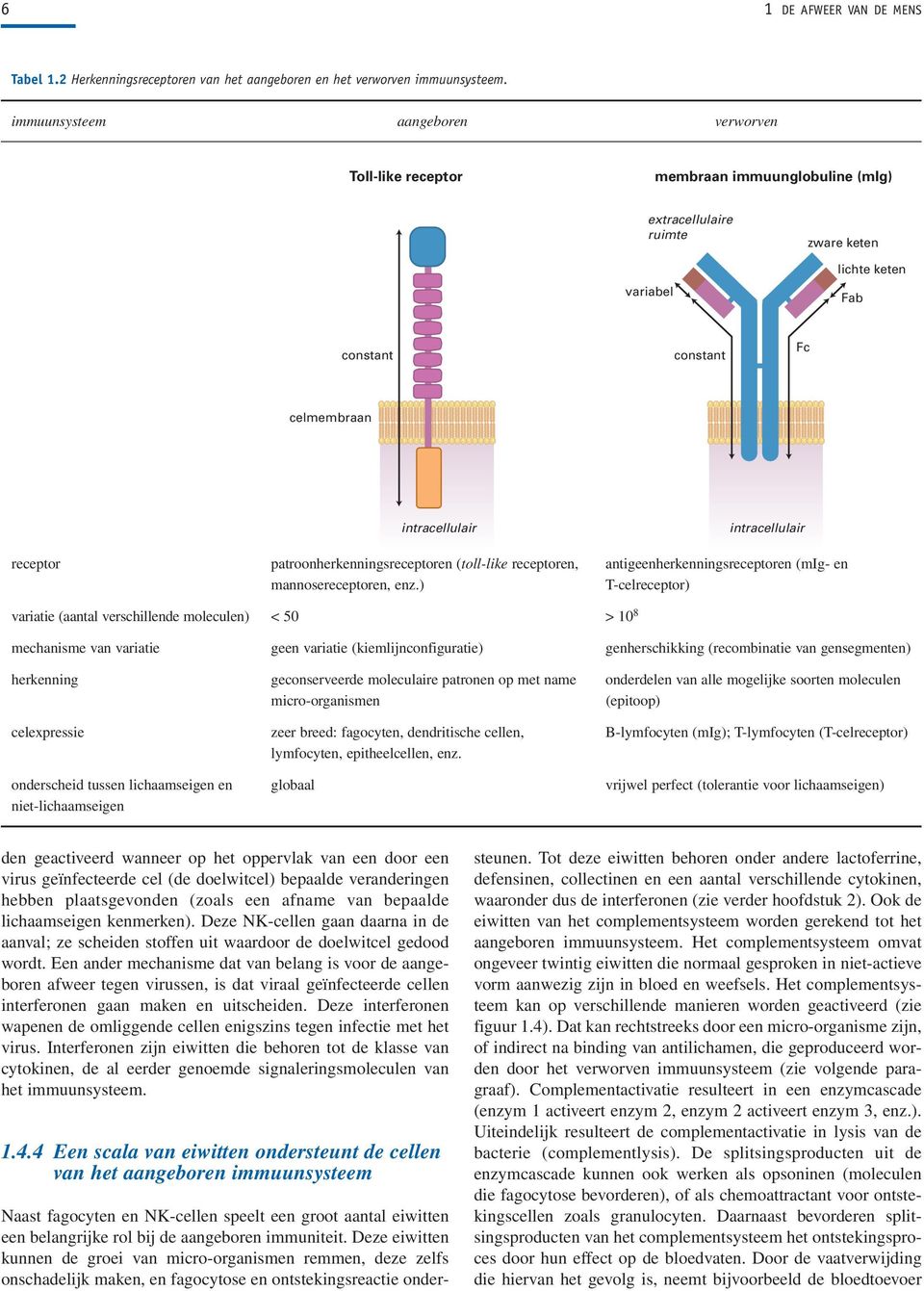 intracellulair receptor patroonherkenningsreceptoren (toll-like receptoren, antigeenherkenningsreceptoren (mig- en mannosereceptoren, enz.