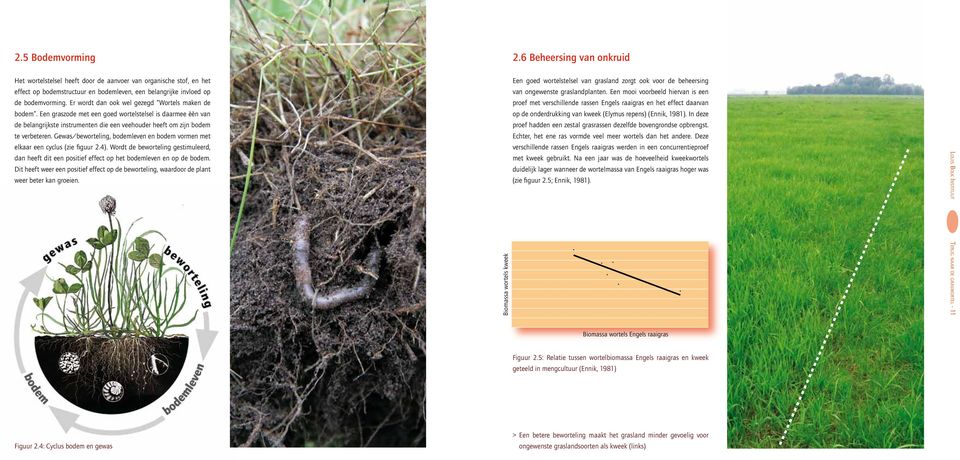 Gewas/beworteling, bodemleven en bodem vormen met elkaar een cyclus (zie figuur 2.4). Wordt de beworteling gestimuleerd, dan heeft dit een positief effect op het bodemleven en op de bodem.